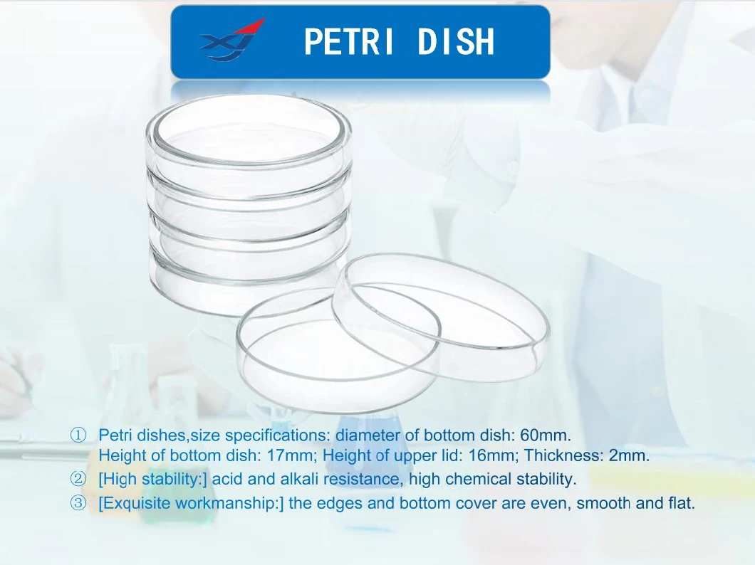 90mm Diameter Transparent Quartz Glass Petri Dish with Lid